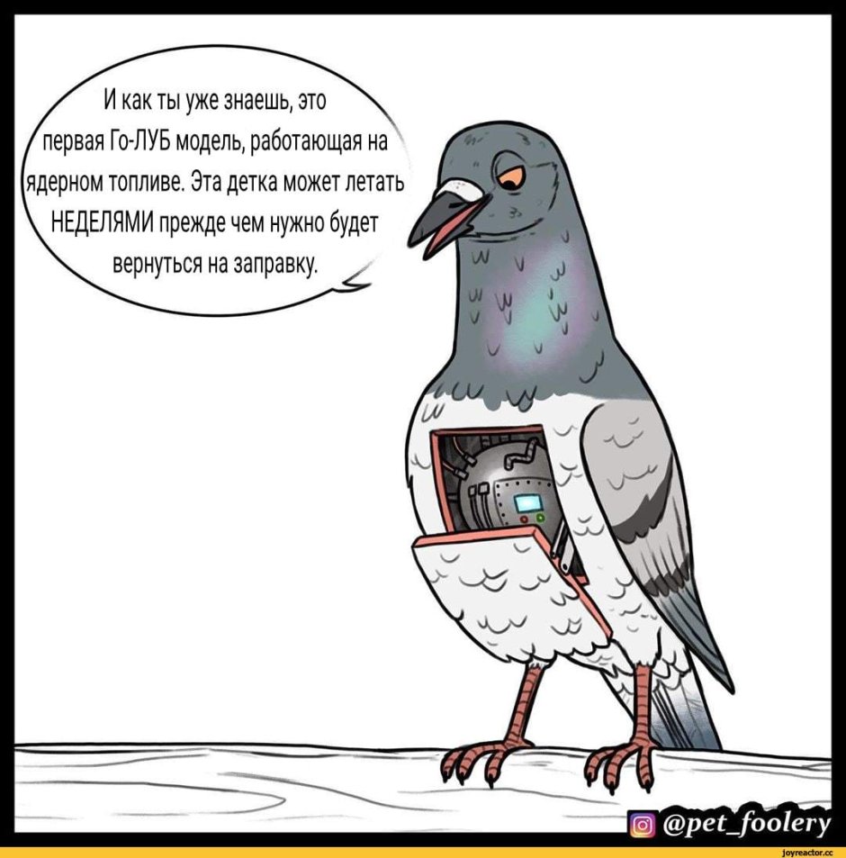 Наташа голубь Эдисон