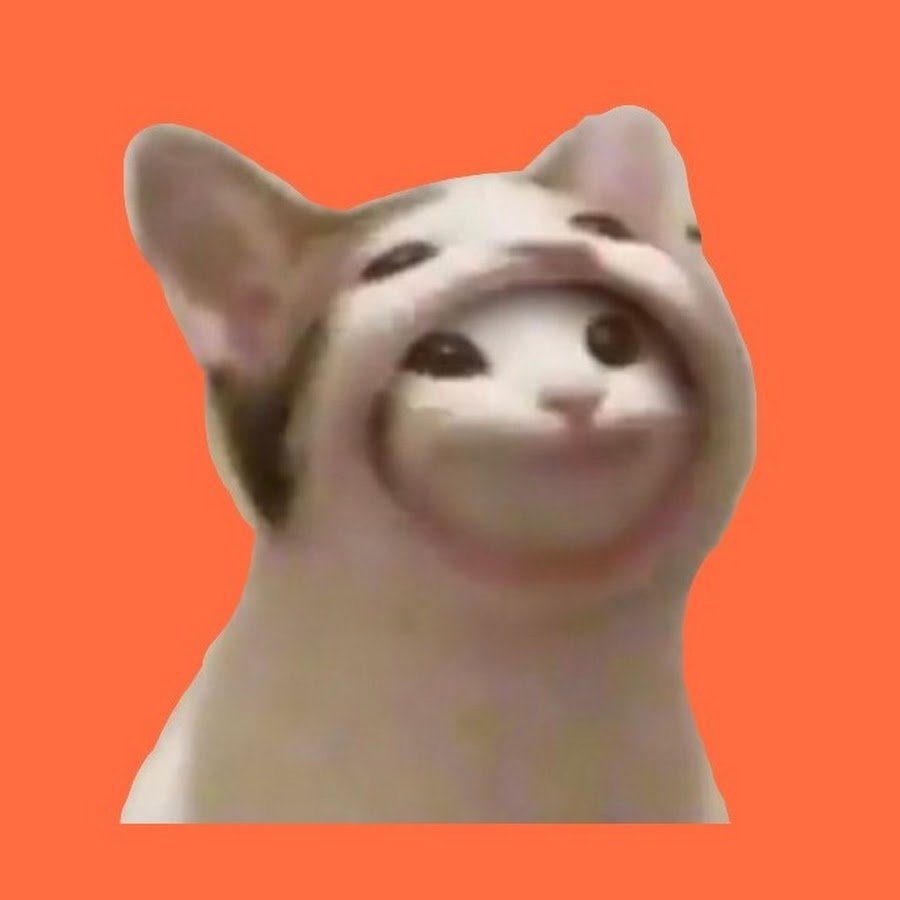 Кот открывает рот гиф