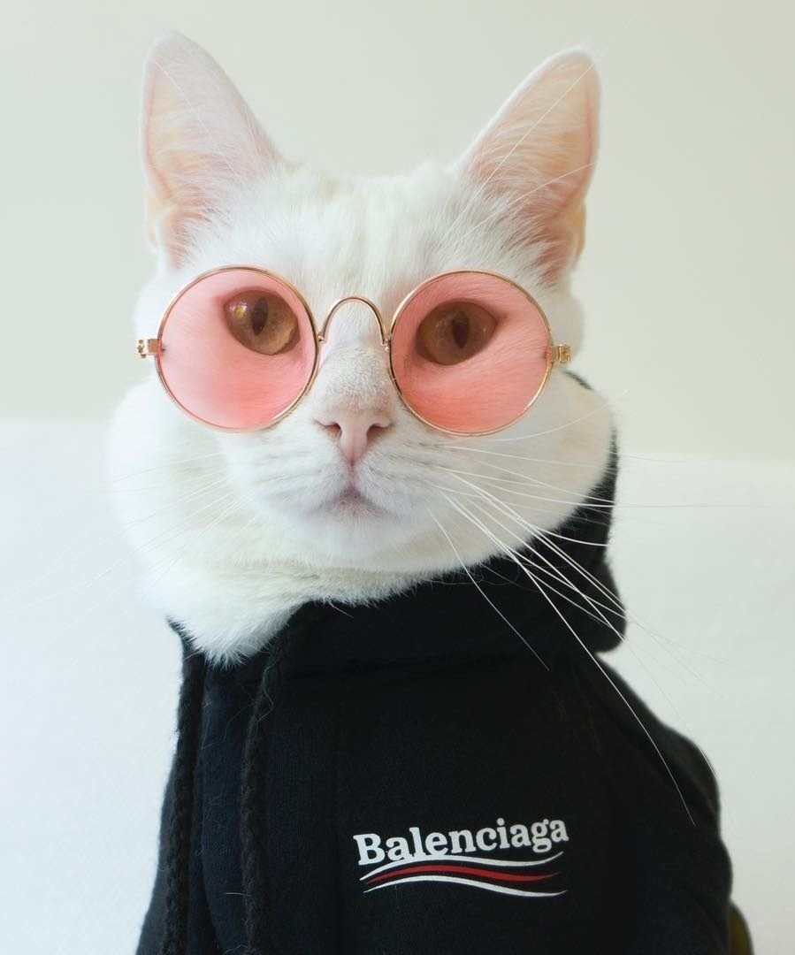 Флоппа Шлеппа