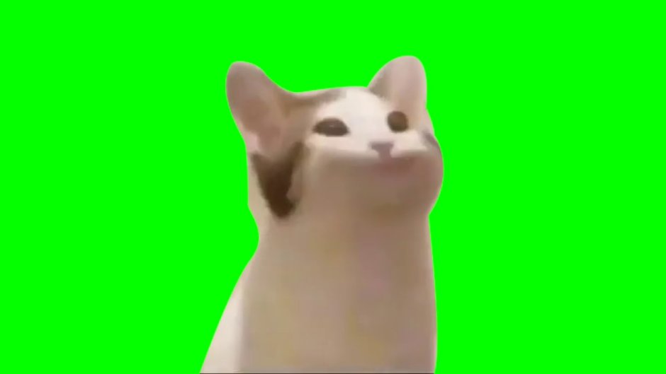 Поп Кэт Грин скрин