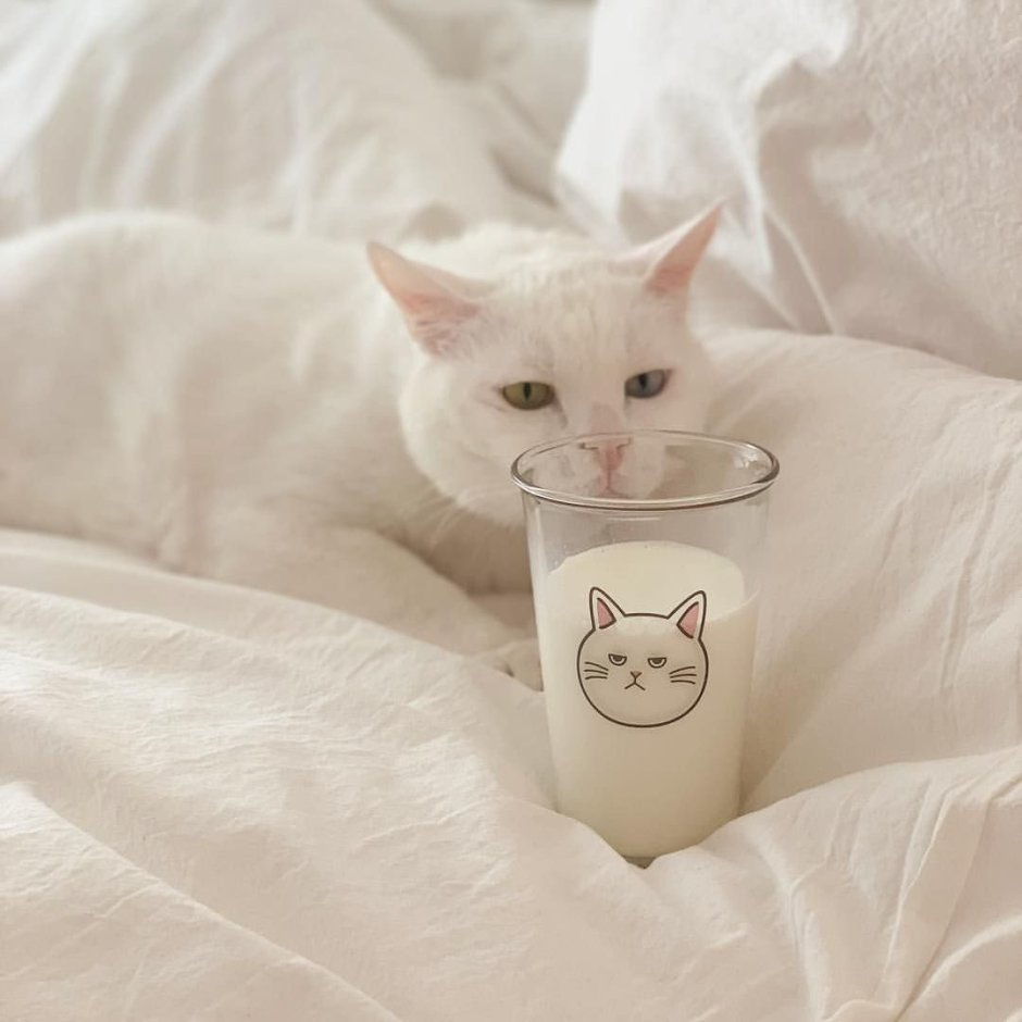 Кошечка в банане