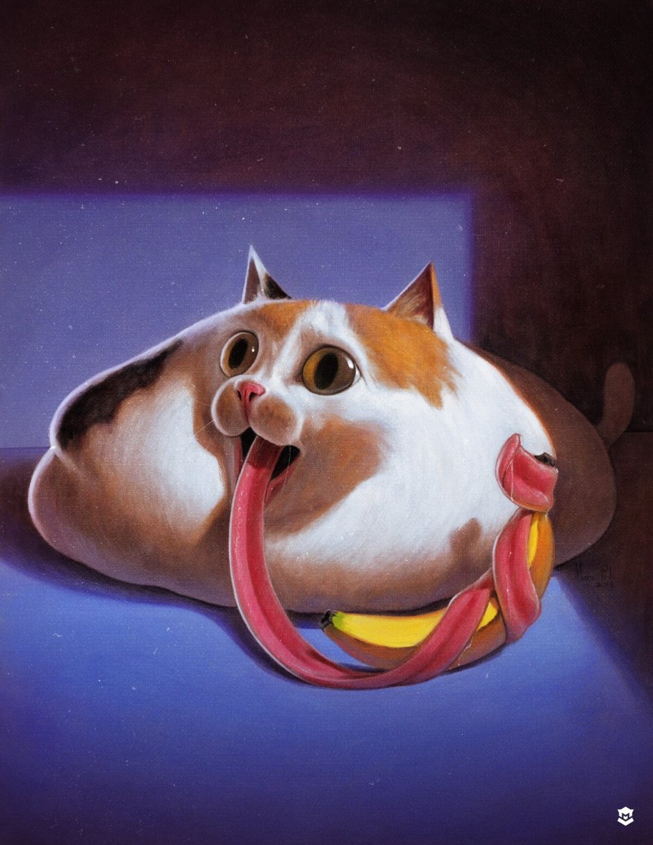 Котик носом в камеру