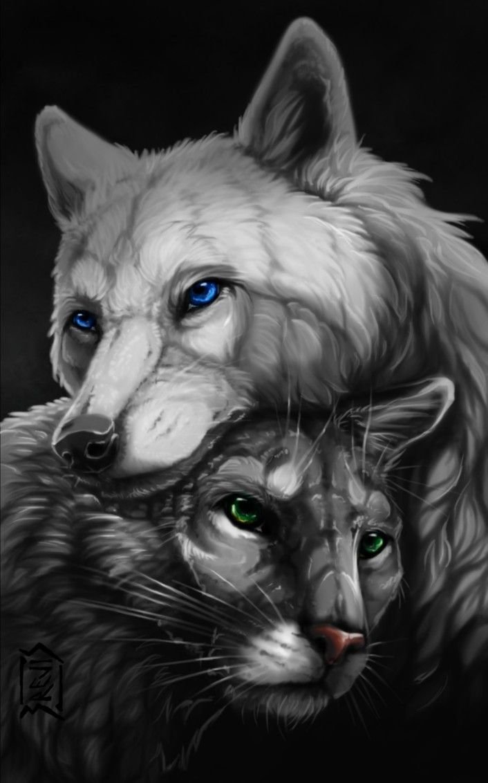 Пантера и волк