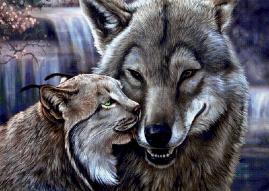 Волк и кошка любовь