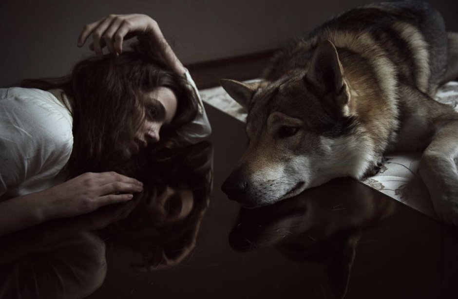 Крылатый волк Семаргл