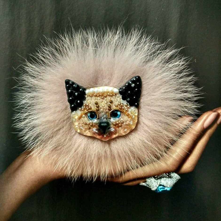 Модные котики