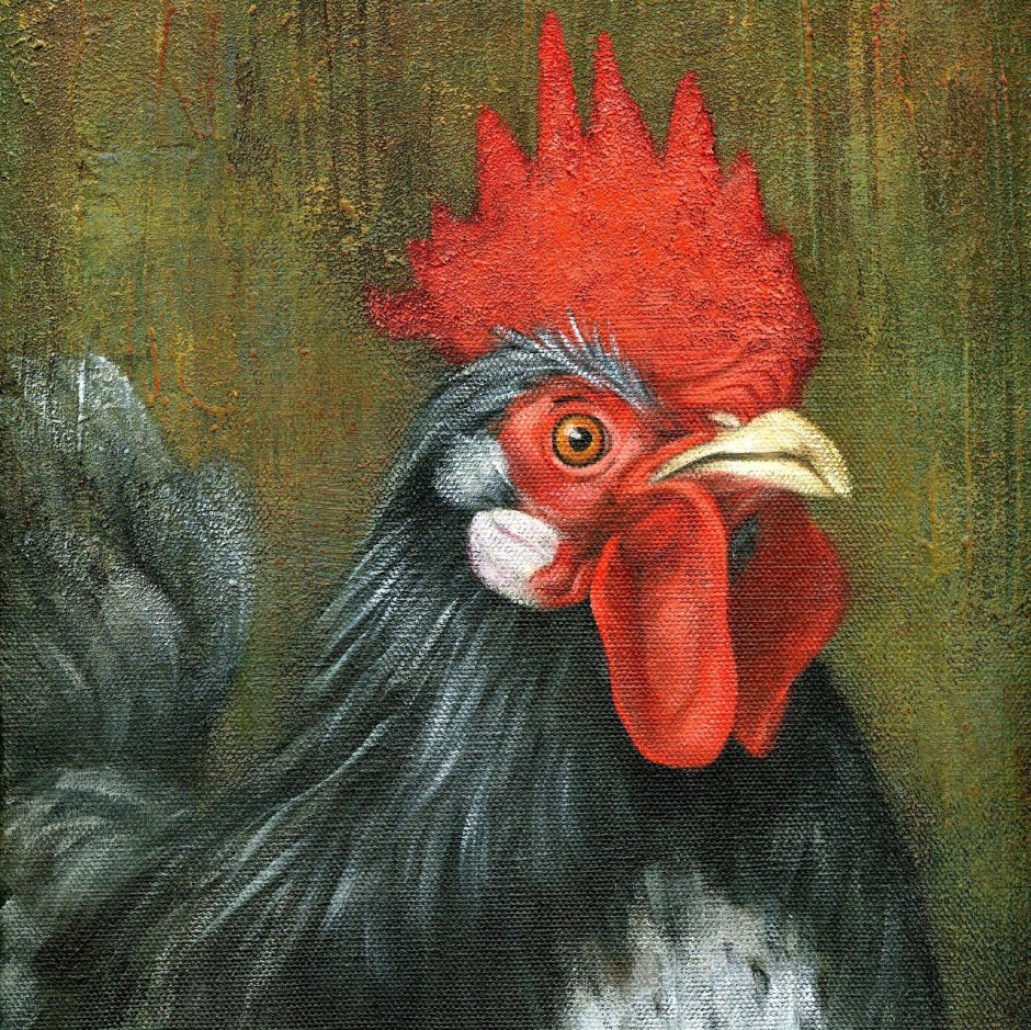 Петух арт