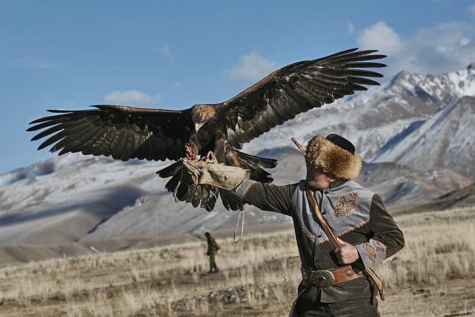 Pyrrhocorax Pyrrhocorax