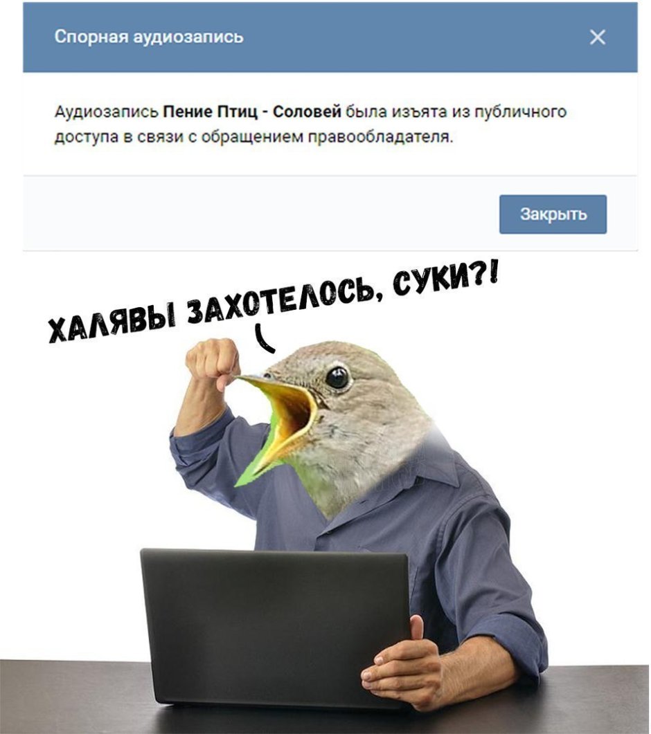 Шутки про соловья