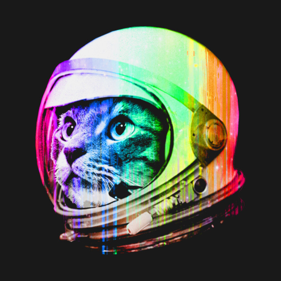 Кот в скафандре