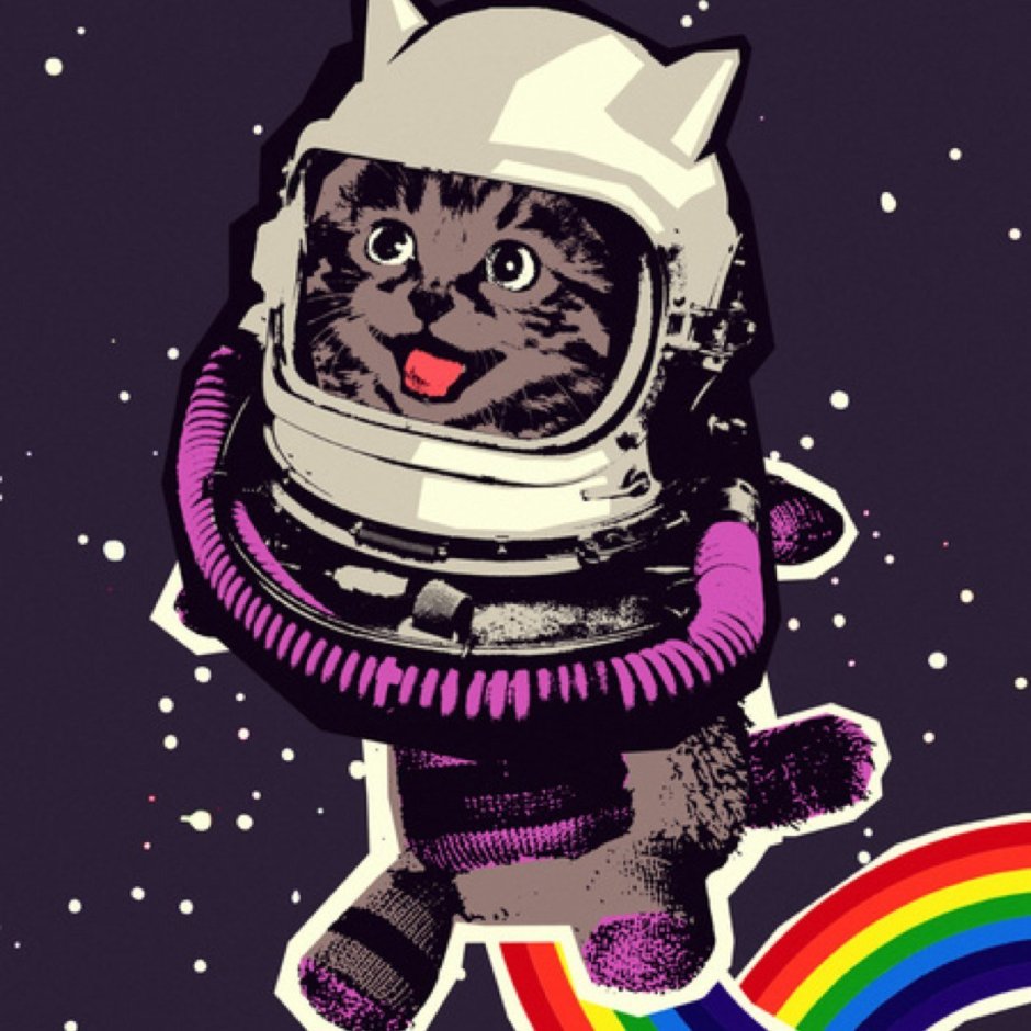 Кот космонавт арт
