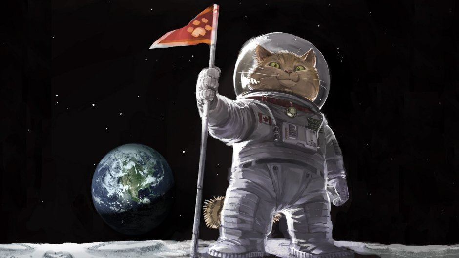 Кот космонавт