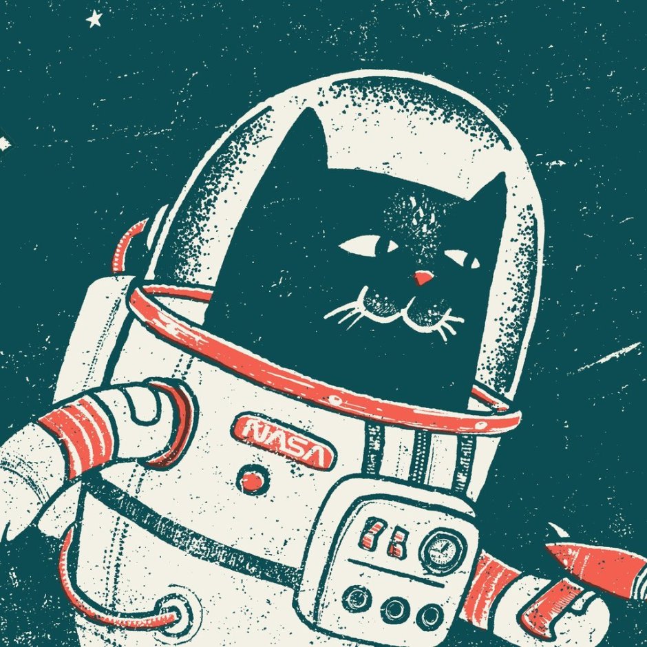 Кот космонавт