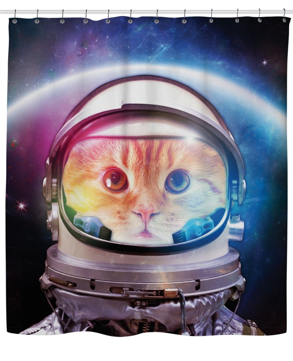 Кот в космосе