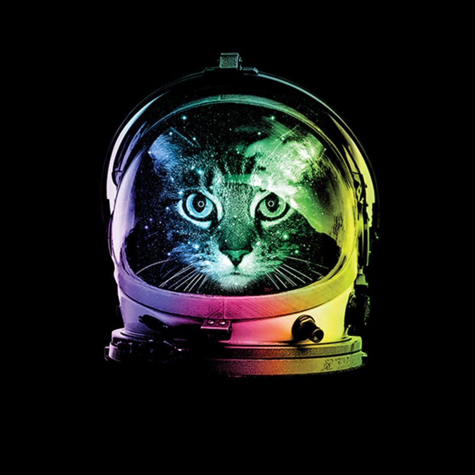 Айр кот
