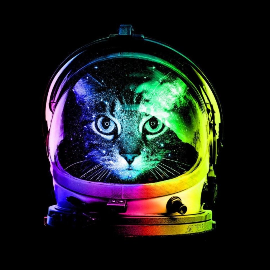 Космический кот