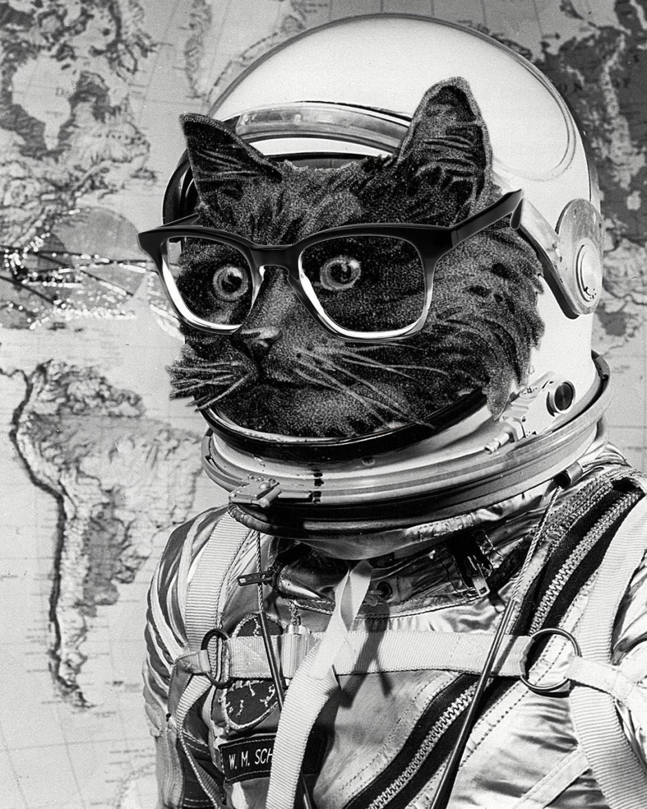 Кот космонавт