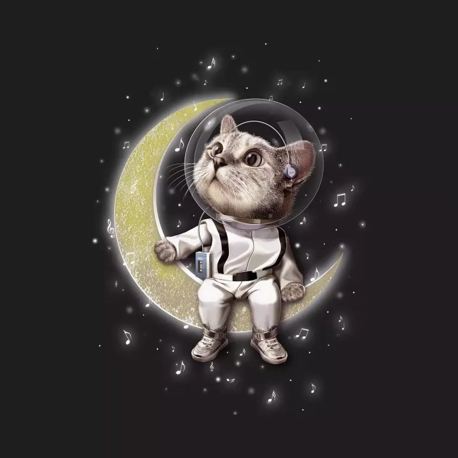 Космо кот