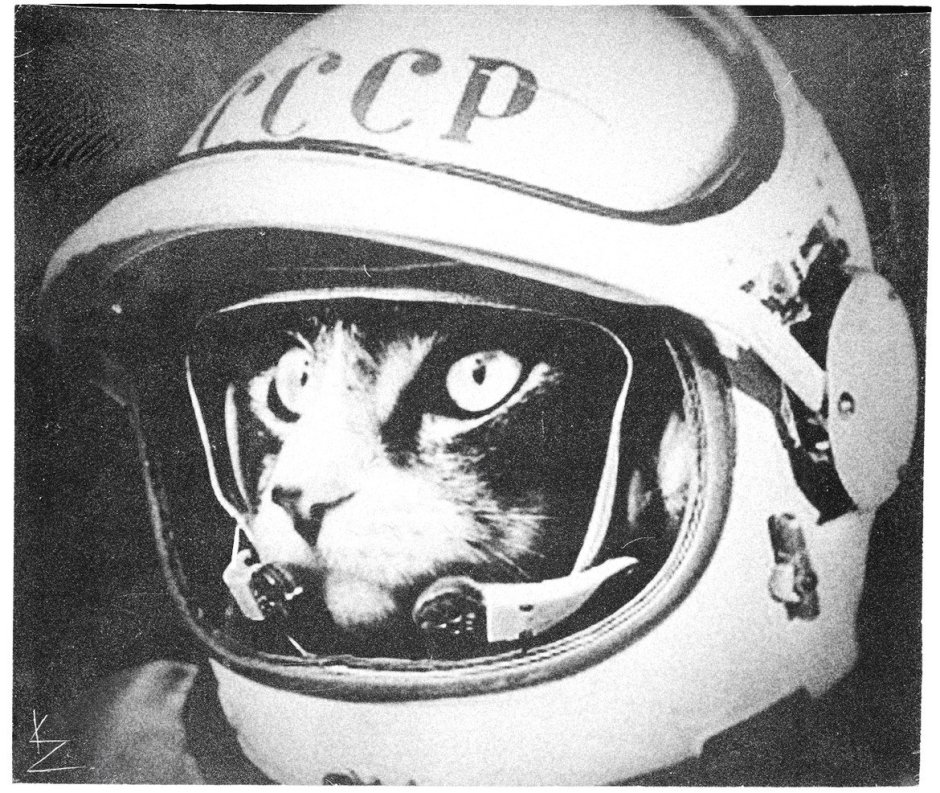 Кот космонавт СССР