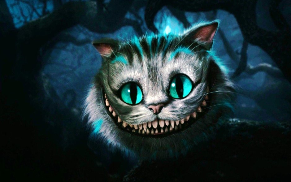 Кот выглядывает