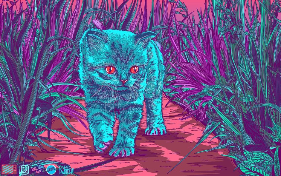 Кот психоделика
