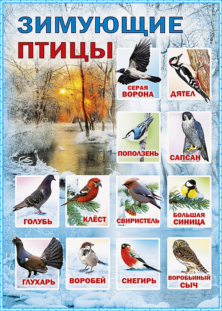 Кормушка для птиц