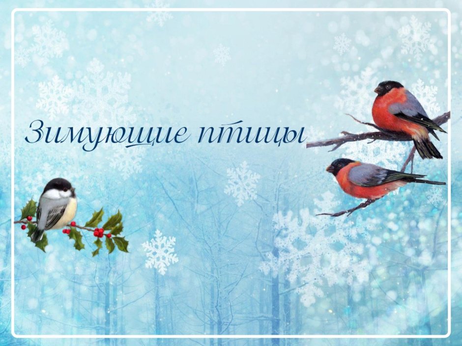 Проект проект зимующие птицы