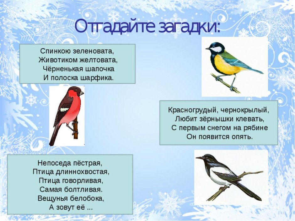 Синица Лазаревка в лесу
