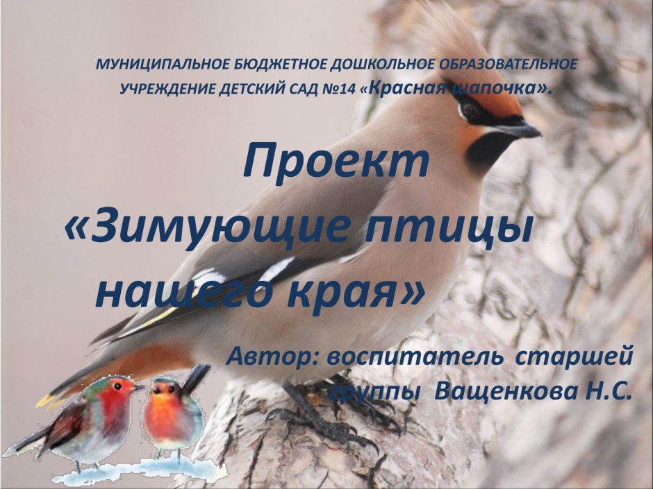 Перелетные и зимующие птицы список для детей