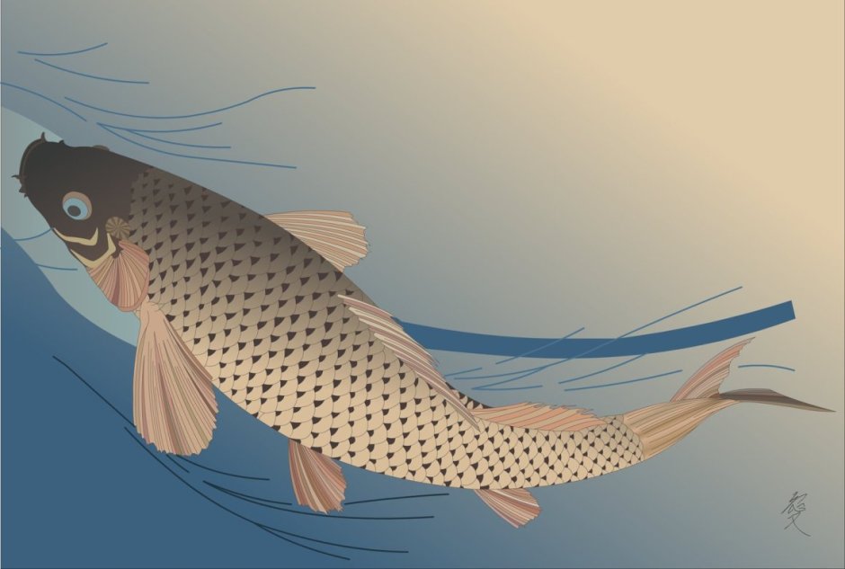 Сазан японский