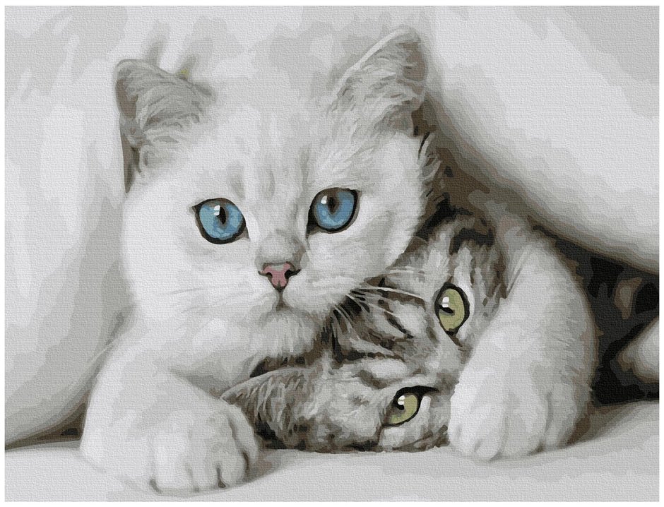 Милые котики