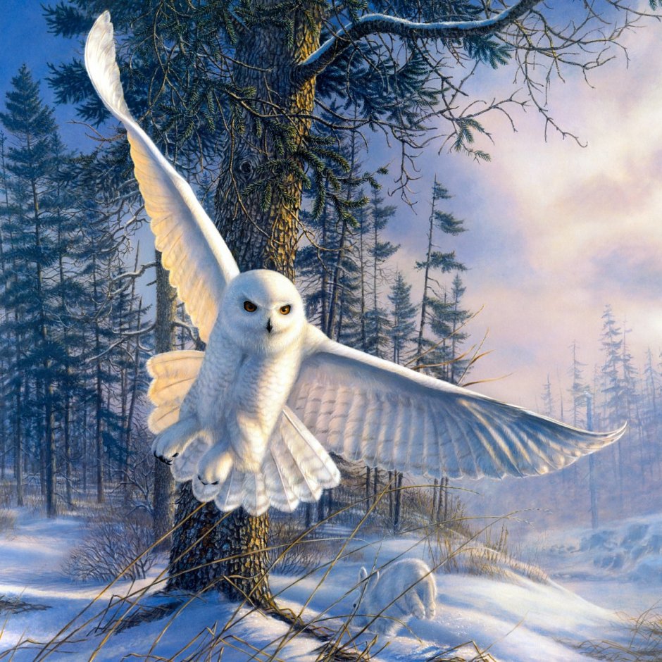 Художник James Meger