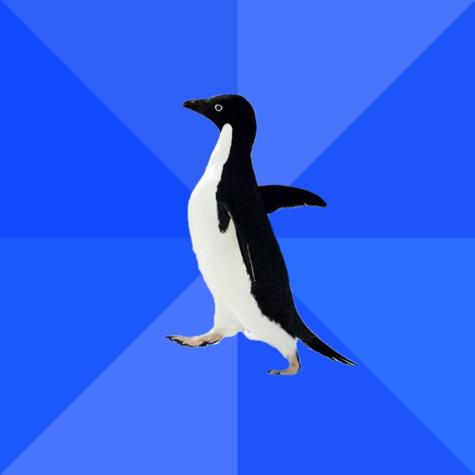 Пингвины обои