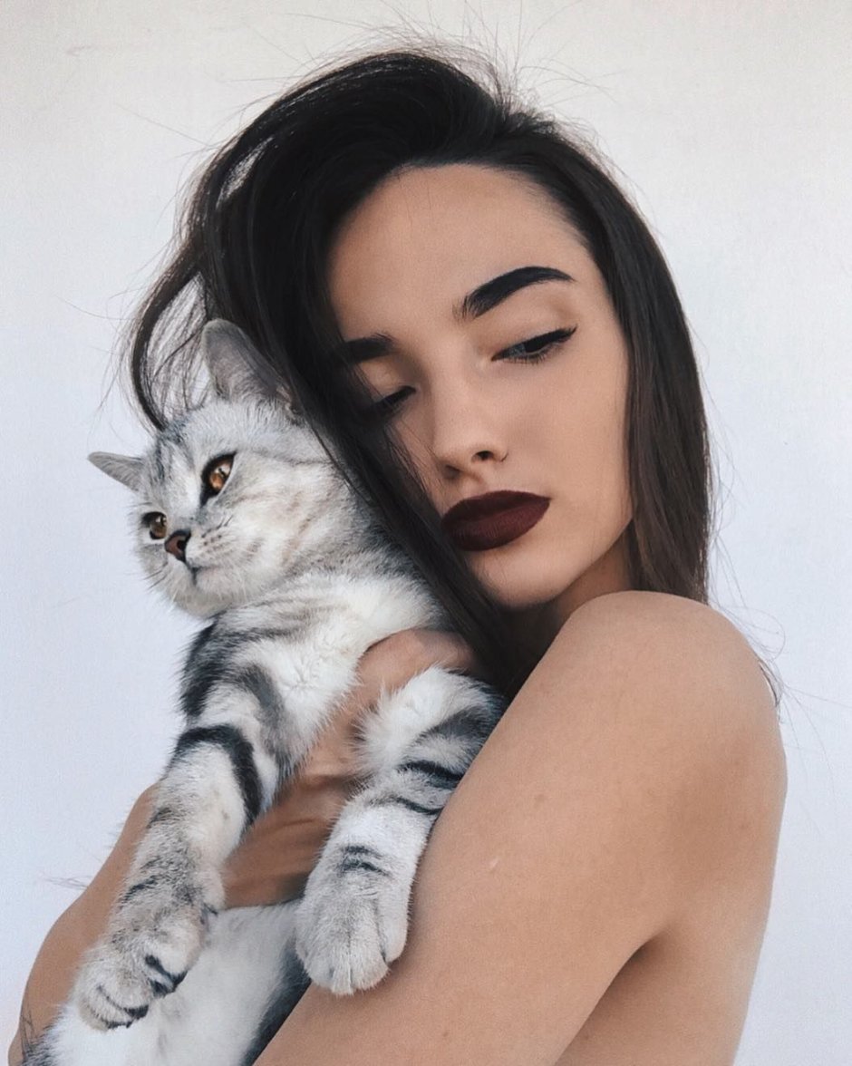 Московская голубая кошка