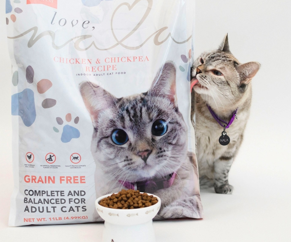 Фотосессия с котом