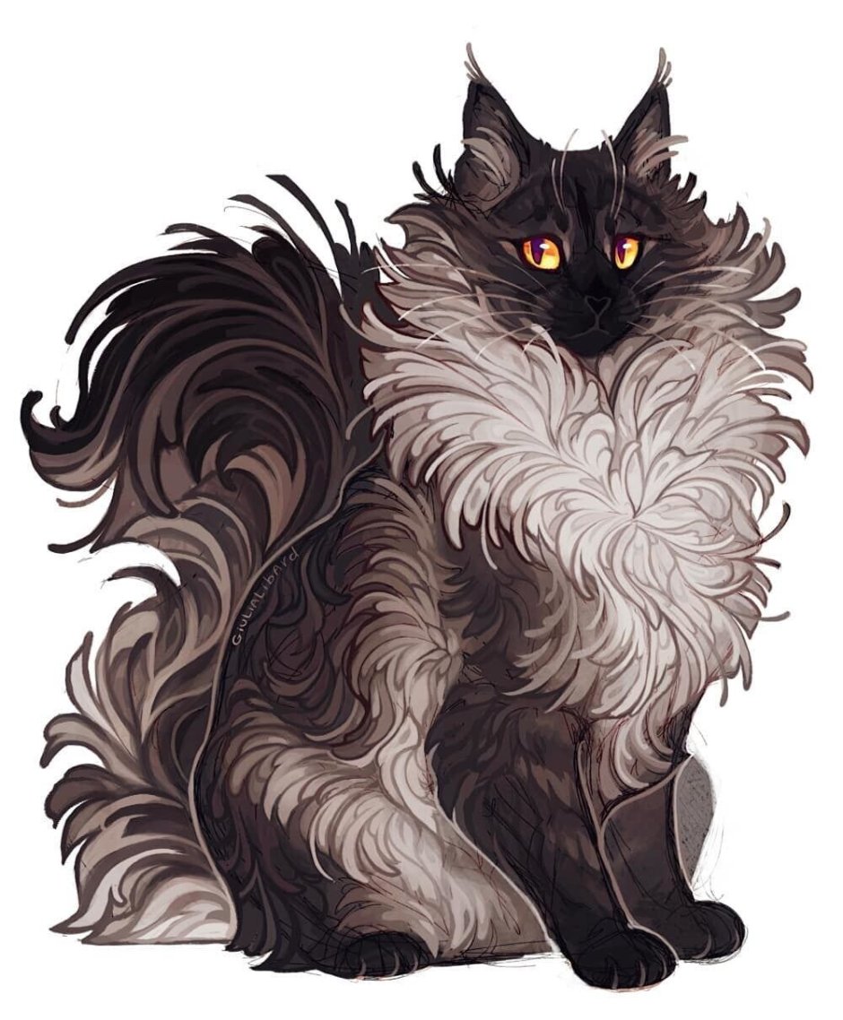 Коты Воители ролка