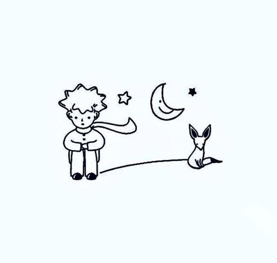 Кот Нермал