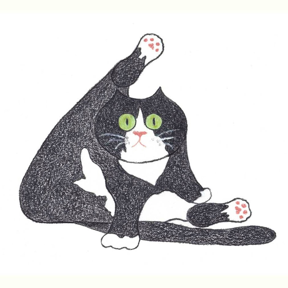 Кошка балерина раскраска