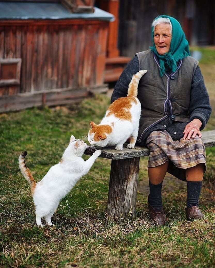 Домик в деревне с колодцем