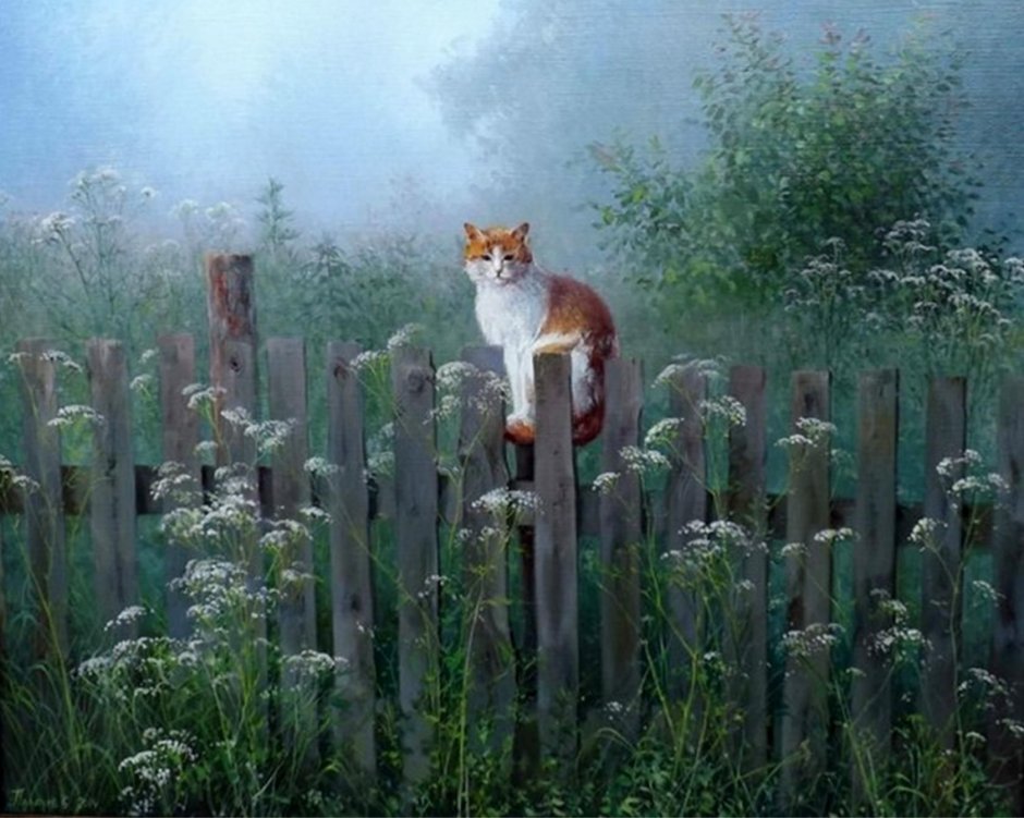 Деревенский кот