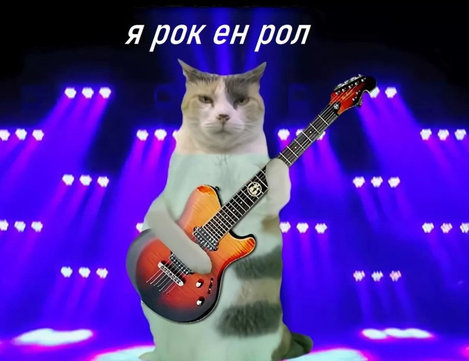 Кот гитарист