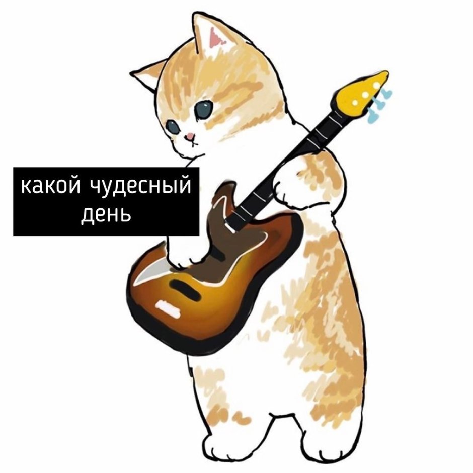 Котик с гитарой