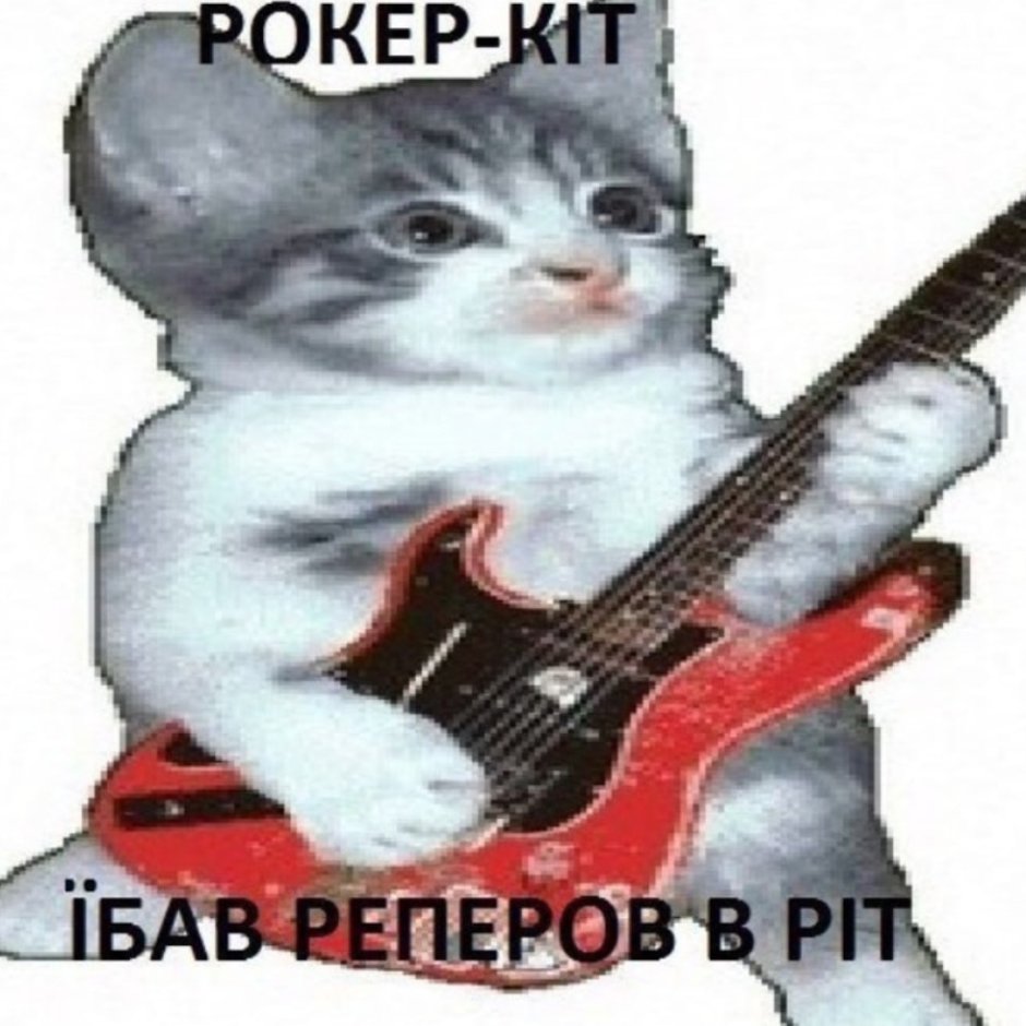 Котенок с электрогитарой