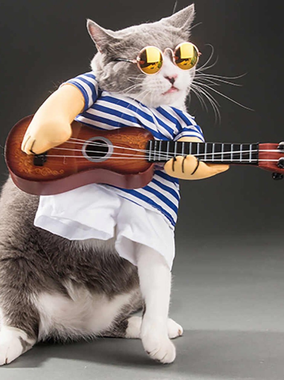 Кот гит