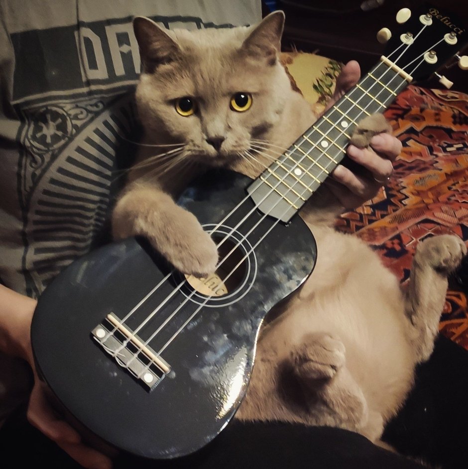 Джеймс Боуэн уличный кот по имени Боб