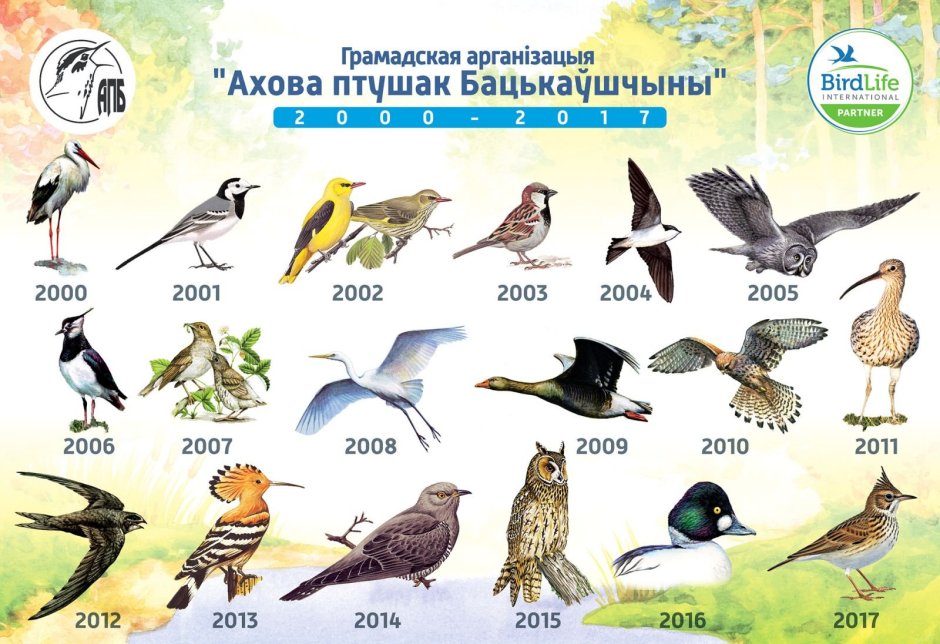 James Hautman картины