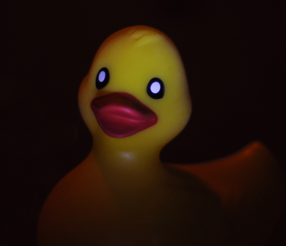 Селфи с утками