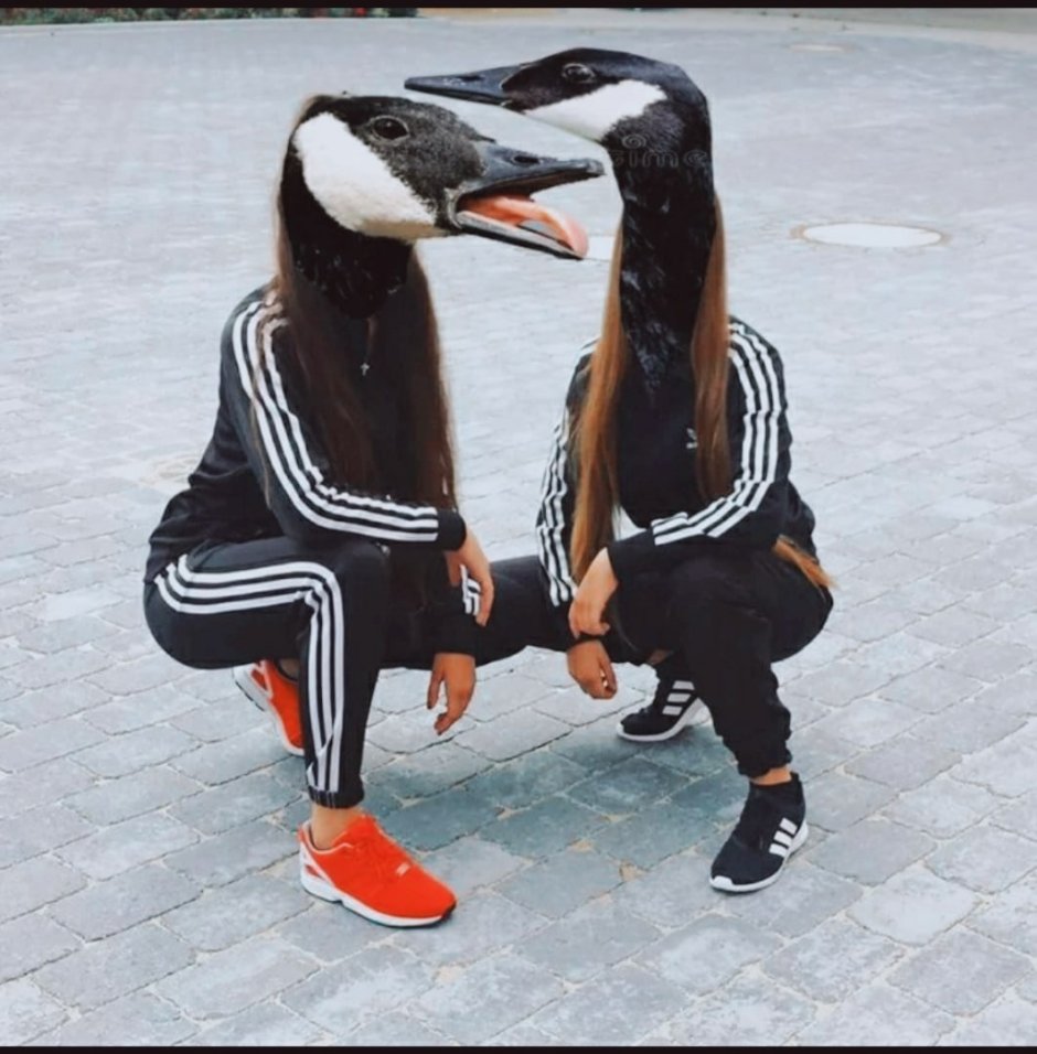 Бешеный Гусь