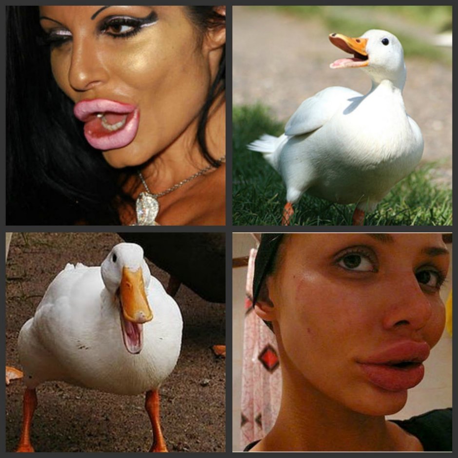 Девушка утка