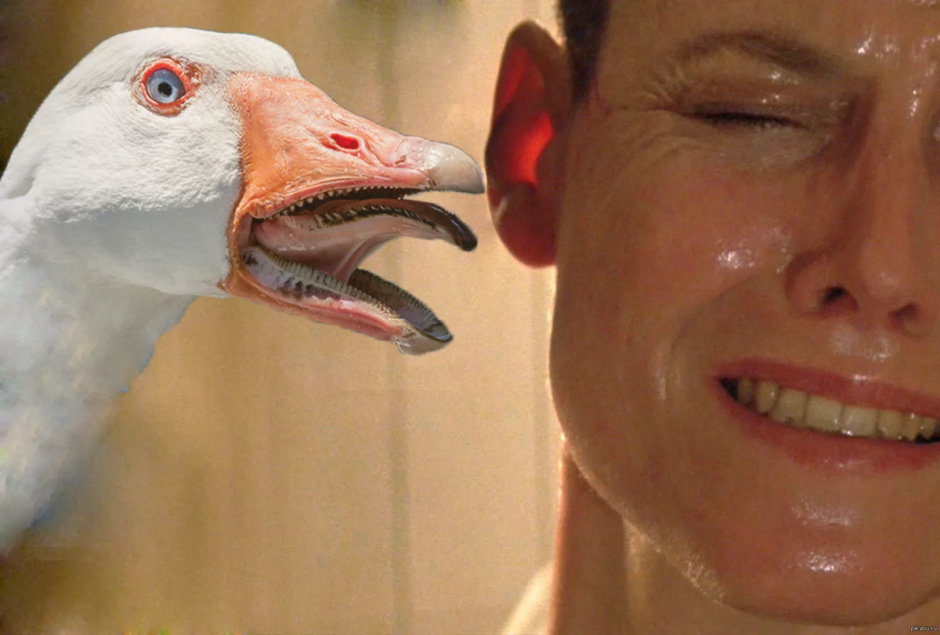 Страшная уточка